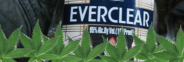 Cannabis Alcohol Tincture